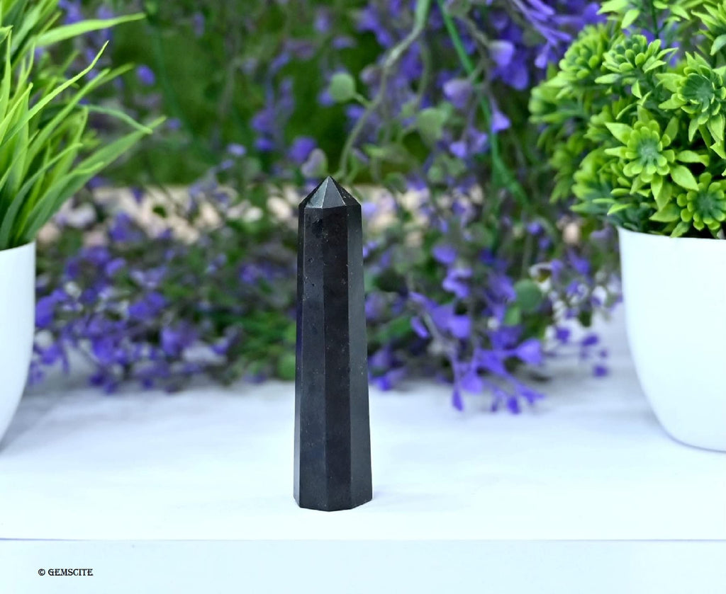 WholesaleGemShop-GEMSCITE 3 Inch Black Tourmaline Gemstones Obelisk Tower Jumbo Facet Aura Rock Crystal Natural Polished Earth W