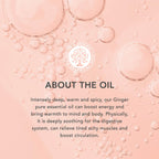 TISSERAND Organic Ginger Essential Oil, 9 ML