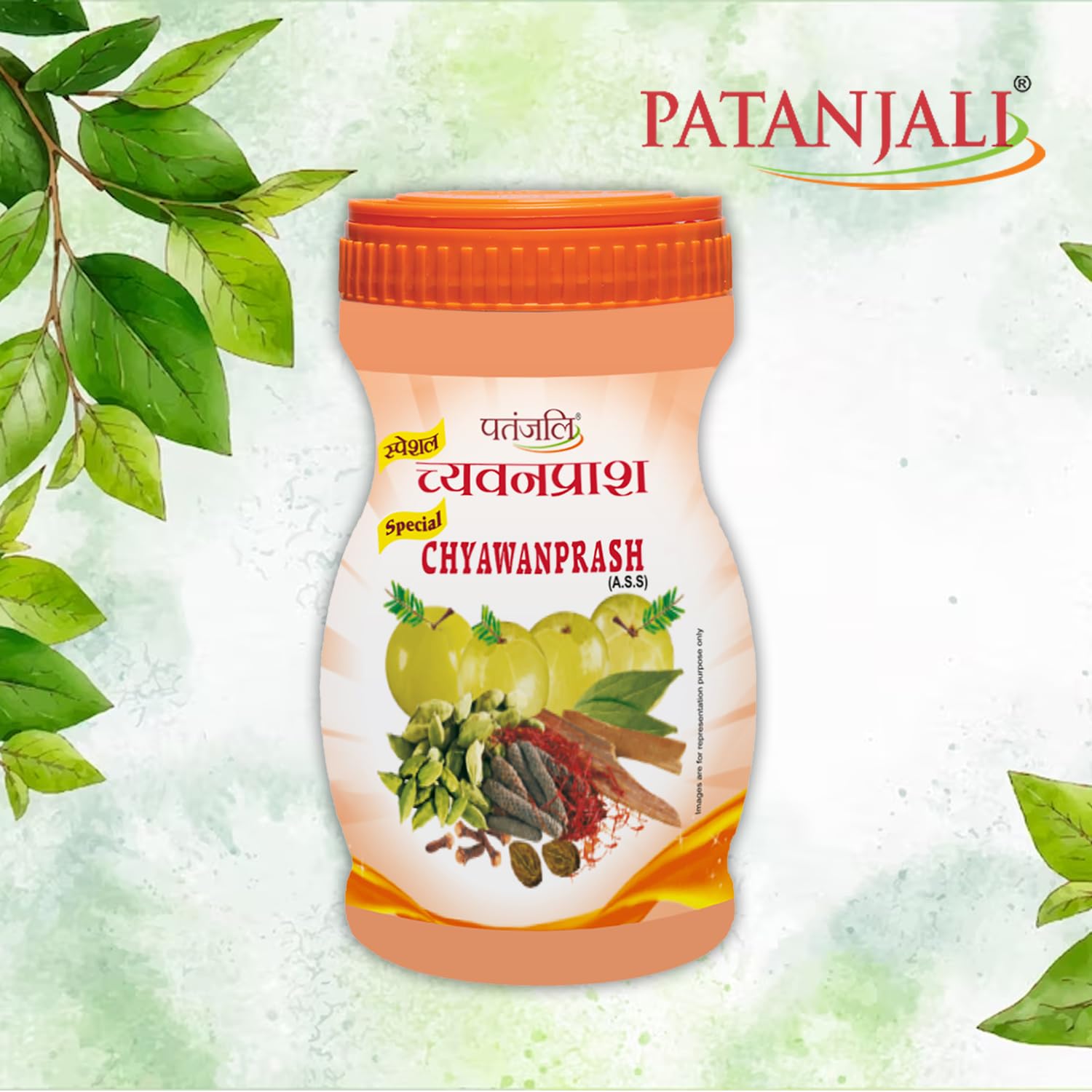 Patanjali Chyawanprash 500gm