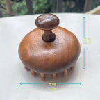 sanlusan Wooden Scalp Massager|Bamboo Brush for Hair Growth|Wooden Hair Brush|Body Massage Tool