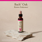 Bach Original Flower Remedies - Oak 20ml-packaging may vary