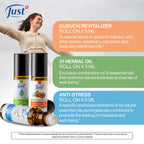 Swiss JUST Essential Oil - 3 Piece Set - Relaxation Trio for Sense Aromatherapy Bliss - 31 Herbal Oil, Guduchi, and Anti-Stress