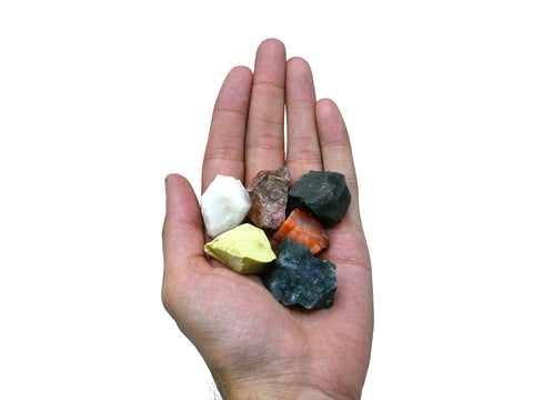 Crystal for Immunity Manifestation, Set of 6 Blood Stone, Rhodonite, Serpentine, Snow Quartz, Carnelian and Moss Agate Healing C