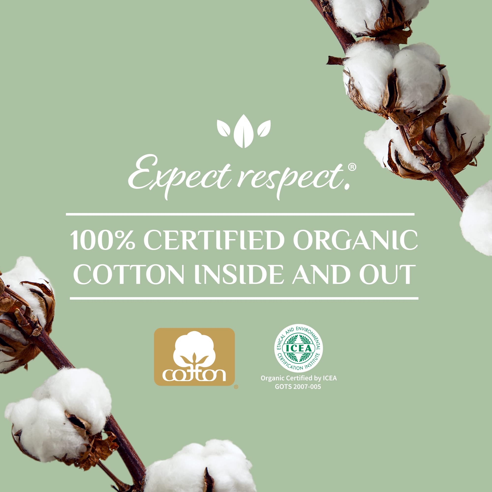 Organyc - 100% Certified Organic Cotton Tampons - Plant-Based Eco-Applicator (Regular Flow, 96 Count (Pack of 6))