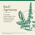 Bach Original Flower Remedies, Agrimony - Communicate Openly - Natural Homeopathic Flower Essence for Emotional Balance - Vegan,