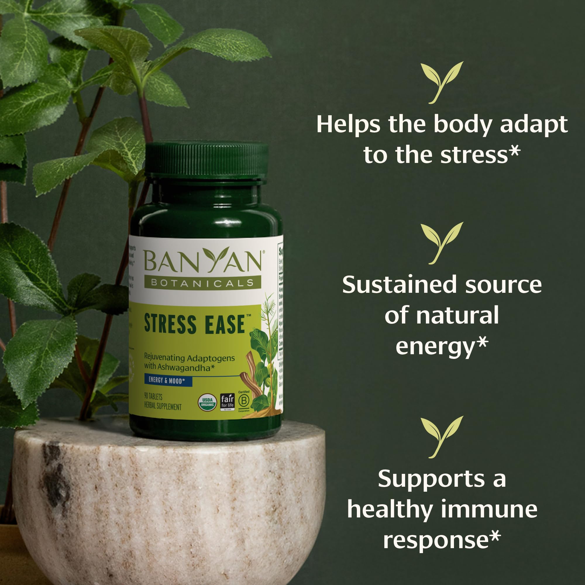 Banyan Botanicals Stress Ease - Organic Herbal Supplement for Stress & Fatigue* - with Ayurvedic Adaptogen Ashwagandha (Withania