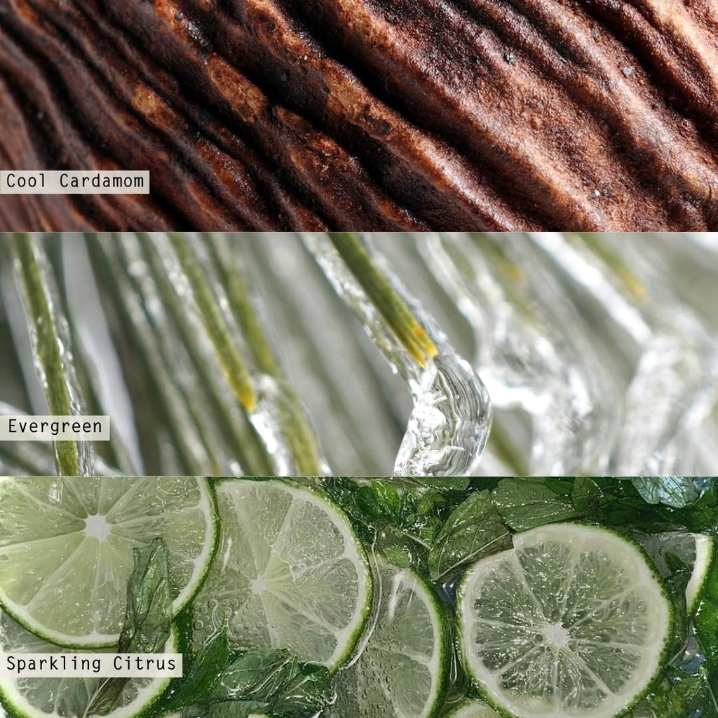 ILLUME Small Aromatic Diffuser, Winter White