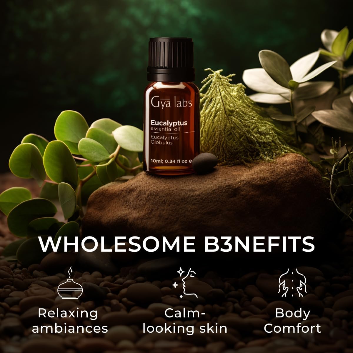 Gya Labs Eucalyptus Essential Oil for Diffuser - Eucalyptus Oil for Skin - Eucalyptus Essential Oil for Aromatherapy Humidifier