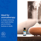 Earths Care Clove Oil - Essential Oil for Aromatherapy - 100% Pure Clove Oil - Steam Distilled - 1 Fl OZ