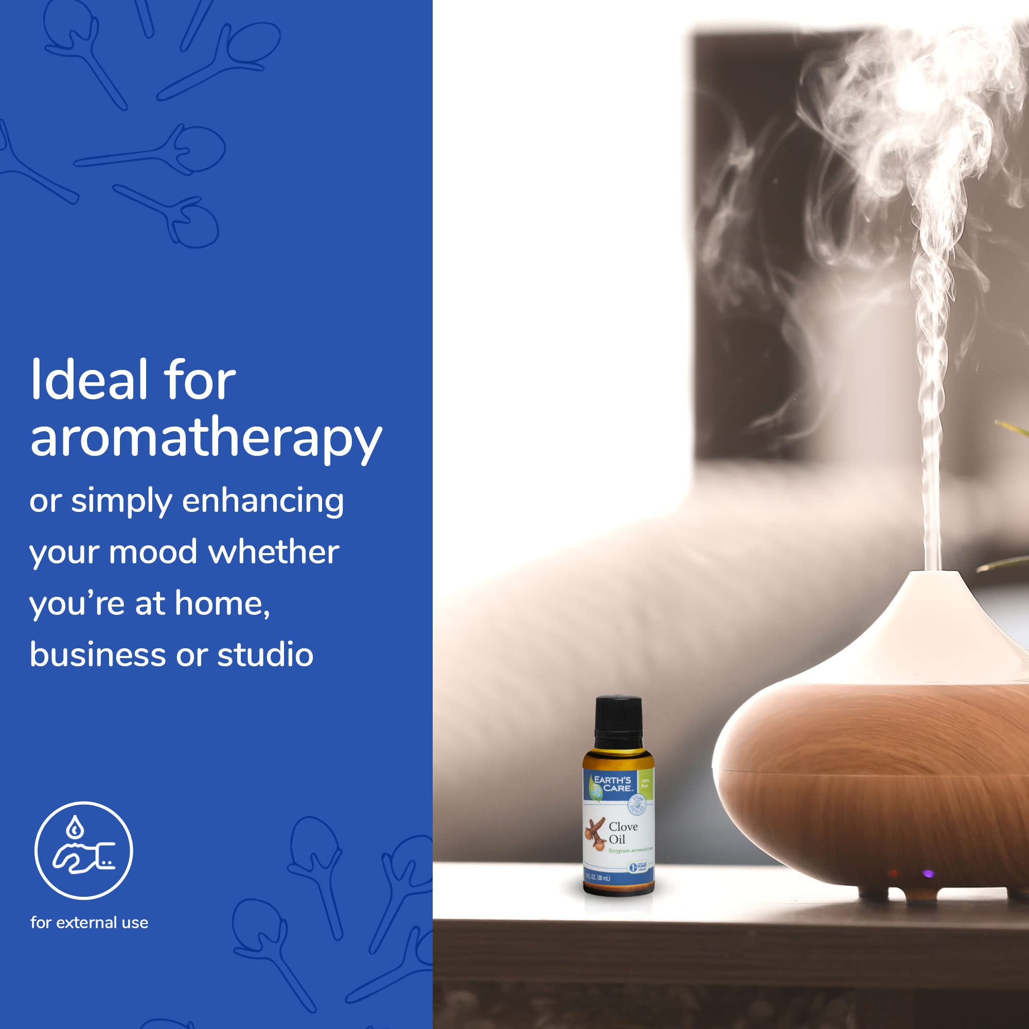 Earths Care Clove Oil - Essential Oil for Aromatherapy - 100% Pure Clove Oil - Steam Distilled - 1 Fl OZ