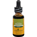 Buchu