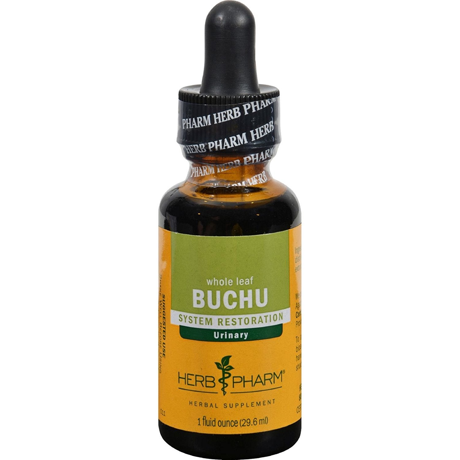 Buchu