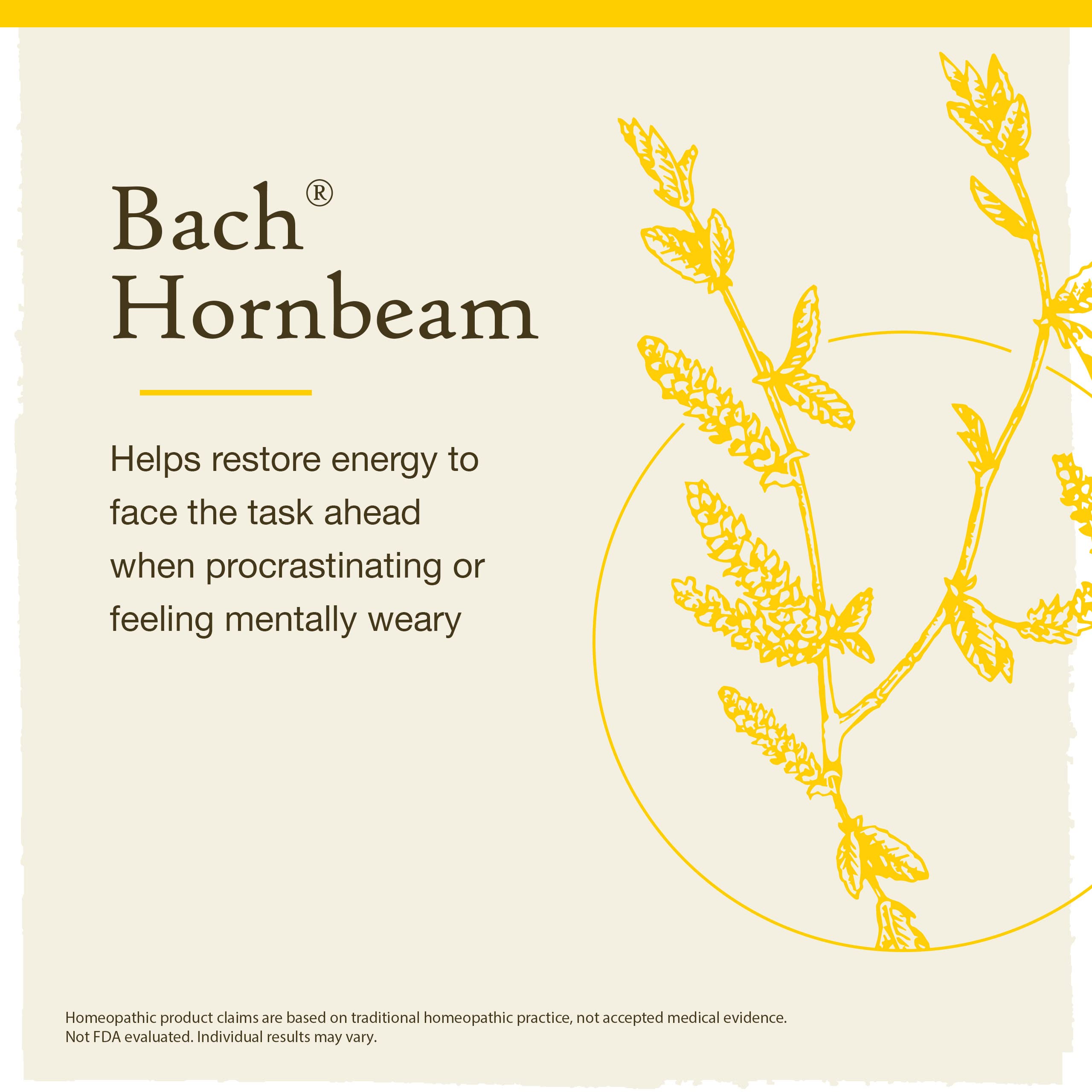 Bach Original Flower Remedies, Hornbeam for Procrastination, Natural Homeopathic Flower Essence, Holistic Wellness, Vegan, 20mL