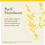 Bach Original Flower Remedies, Hornbeam for Procrastination, Natural Homeopathic Flower Essence, Holistic Wellness, Vegan, 20mL
