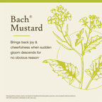 Bach Original Flower Remedies Mustard 20ml