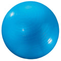 Dick Martin Sports Exercise Ball, 24, Blue