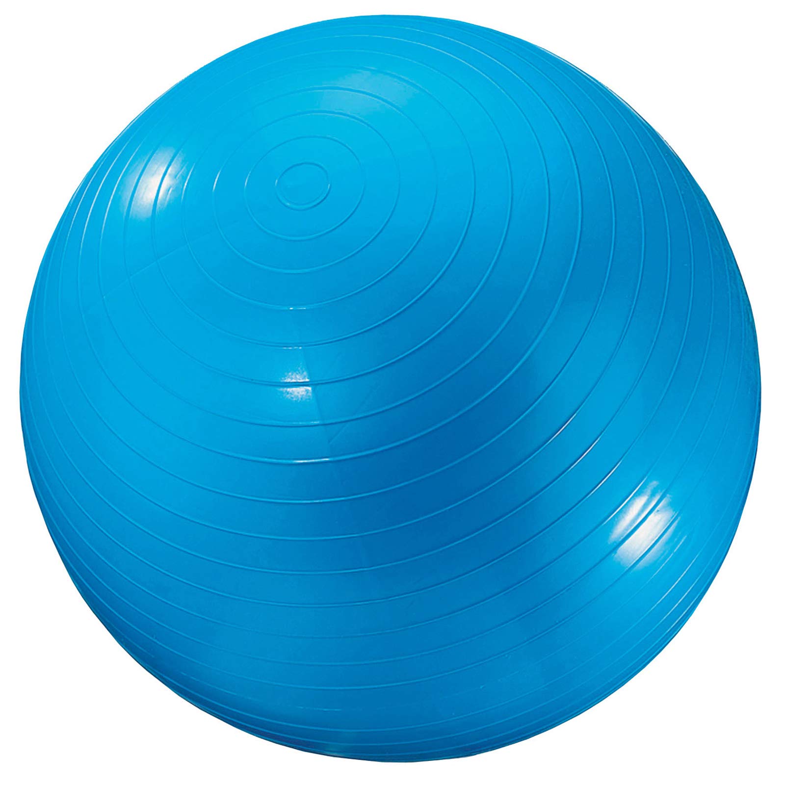 Dick Martin Sports Exercise Ball, 24, Blue
