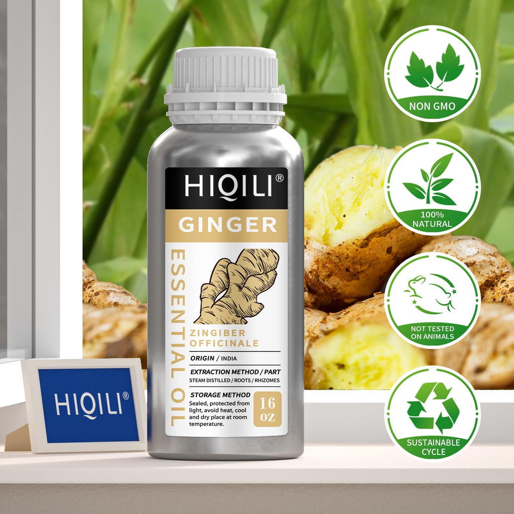 HIQILI 16 Fl Oz Ginger Oil, 100% Pure Natural Ginger Essential Oil for Hair, Massage, Skin - 500ML