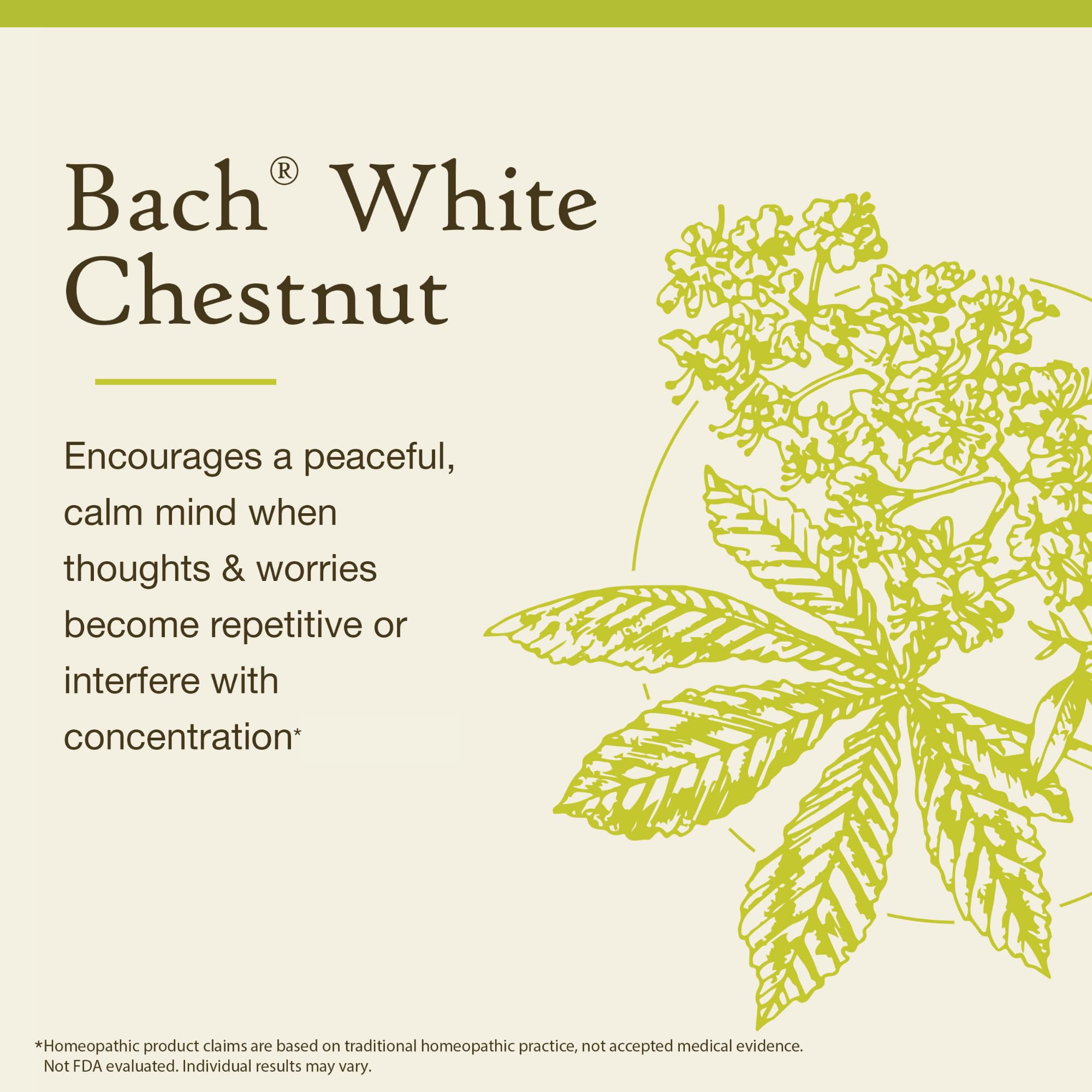 Bach Original Flower Remedies, White Chestnut - Calm The Mind - Natural Homeopathic Flower Essence for Emotional Balance - Vegan