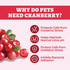 Wellix 8.8oz Large Dog and Cat Urinary Supplement - Rich in Omega-3,Cranberry for Cat UTI Treatment -Urinary Tract Podwer for Bl