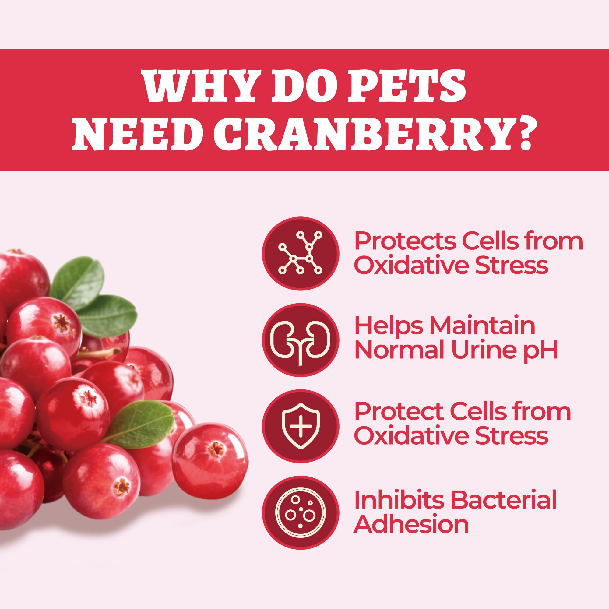 Wellix 8.8oz Large Dog and Cat Urinary Supplement - Rich in Omega-3,Cranberry for Cat UTI Treatment -Urinary Tract Podwer for Bl