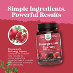 Advanced Antioxidant Superfood Pomegranate Supplement - Natural Pomegranate Extract Polyphenols Supplement for Heart Health and