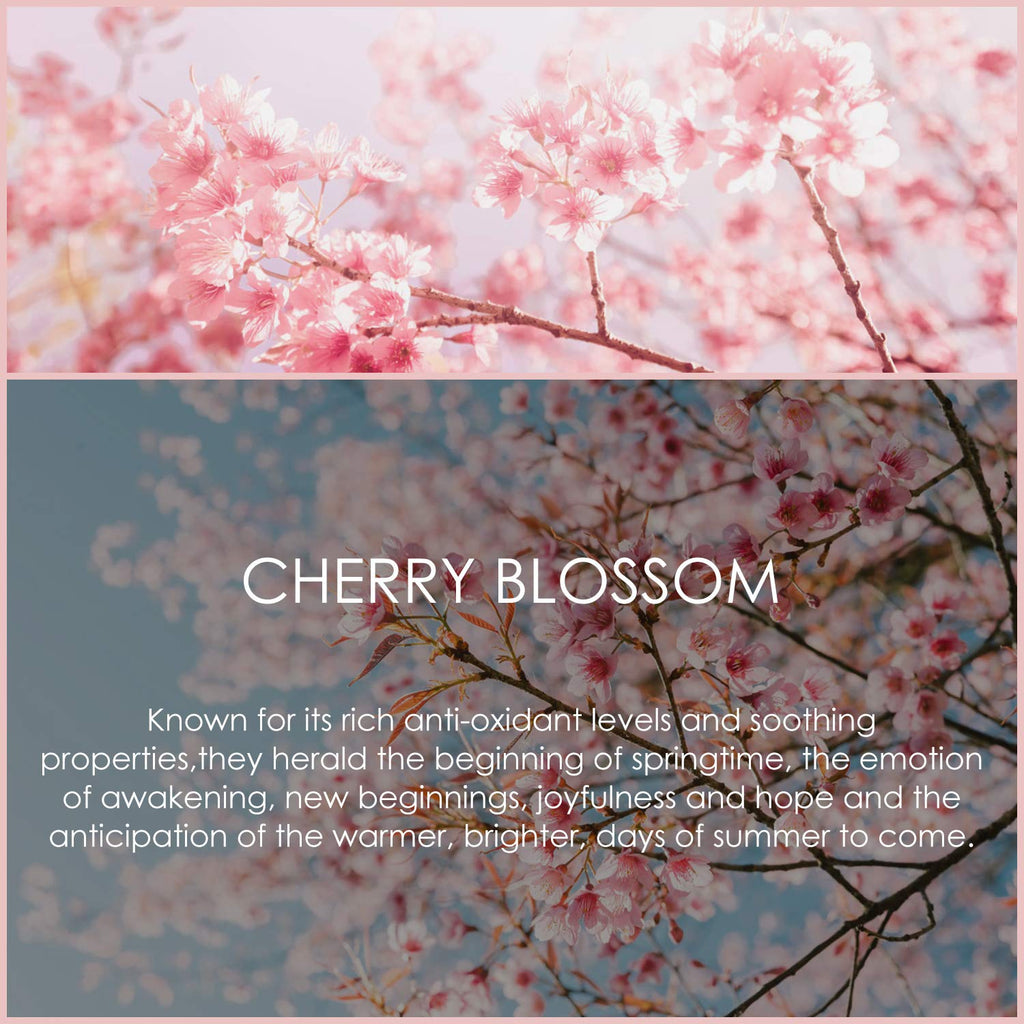 Cherry Blossom Essential Oil 120ml (4 Fl Oz), SALKING Pure & Natural Fragrance Oils, Aromatherapy Essential Oils for Diffuser, M
