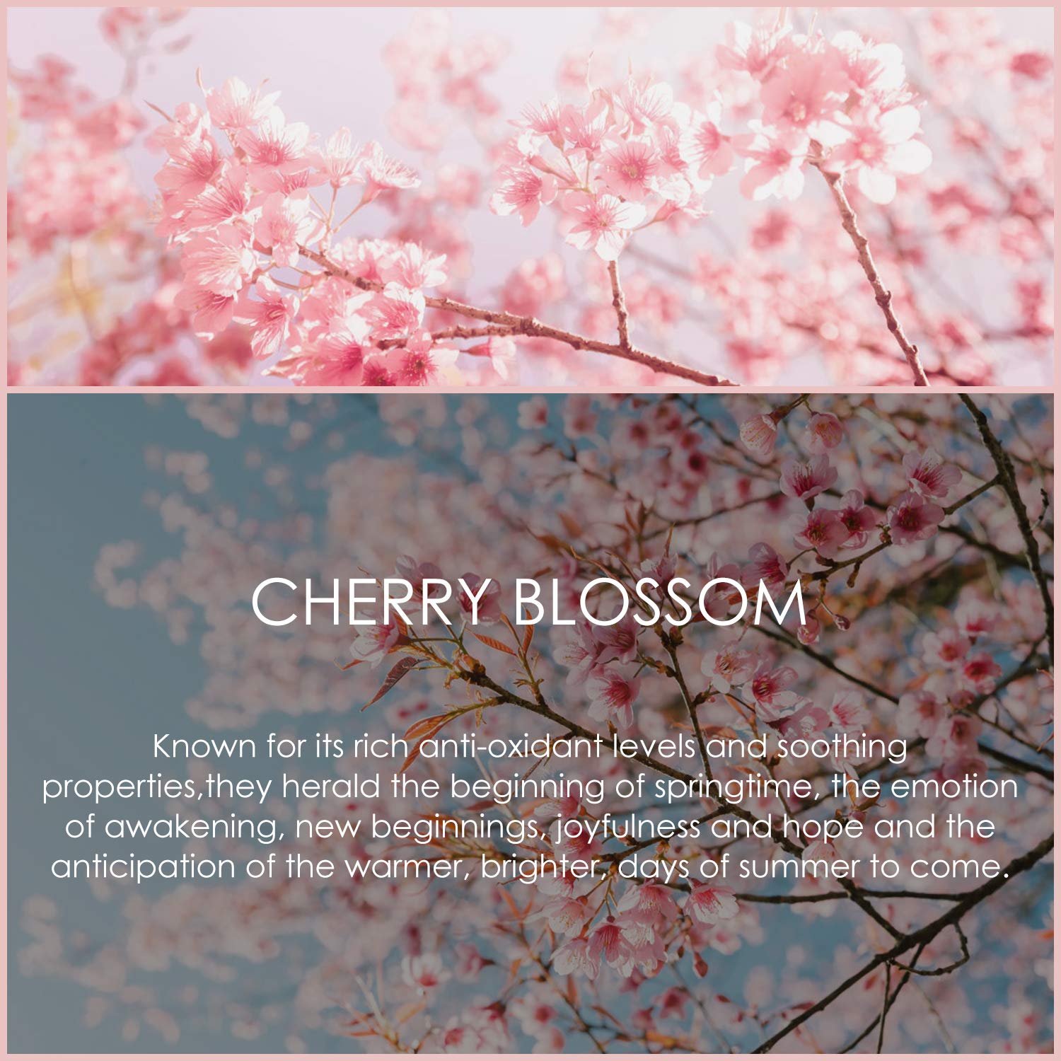 Cherry Blossom Essential Oil 120ml (4 Fl Oz), SALKING Pure & Natural Fragrance Oils, Aromatherapy Essential Oils for Diffuser, M