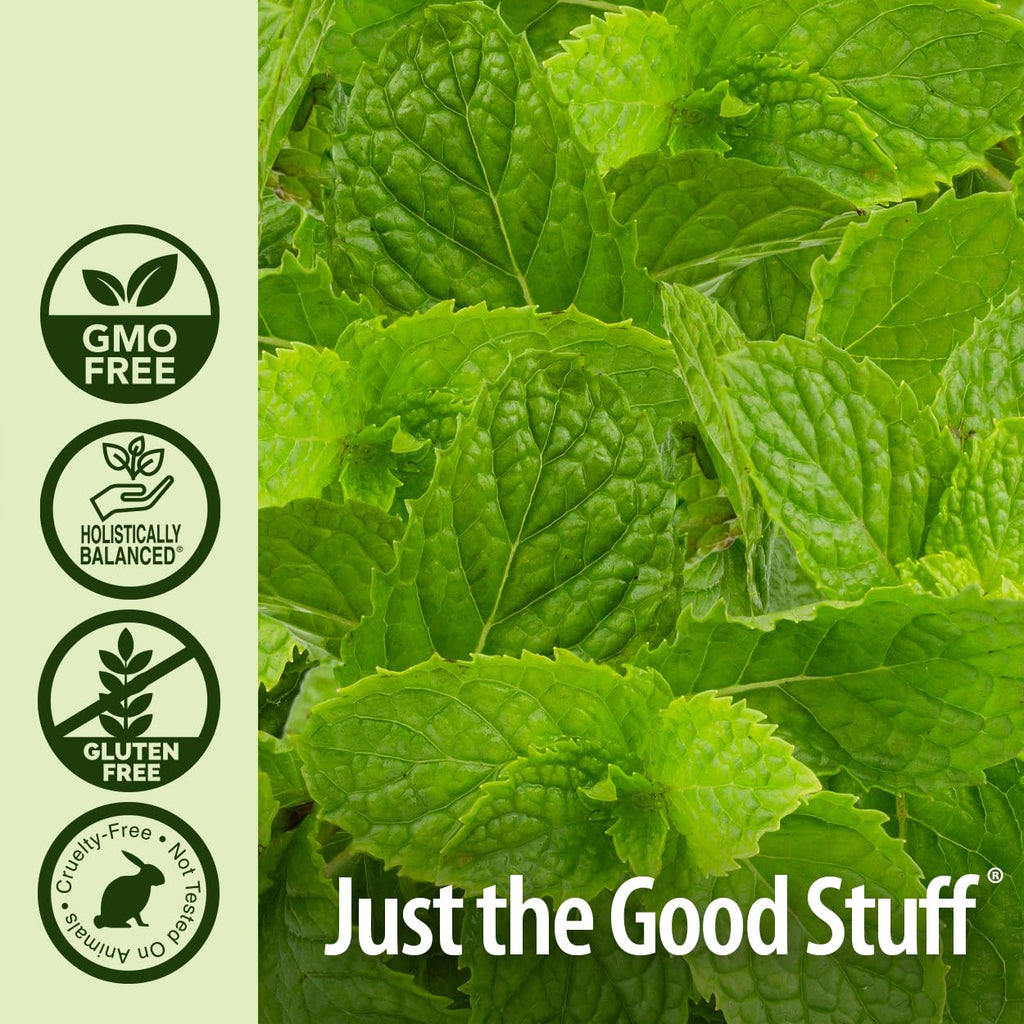 Natures Answer USDA Organic Peppermint Essential Oil, 100% Pure | Natural Aromatherapy Oil for Diffuser/Humidifier, Steam Distil