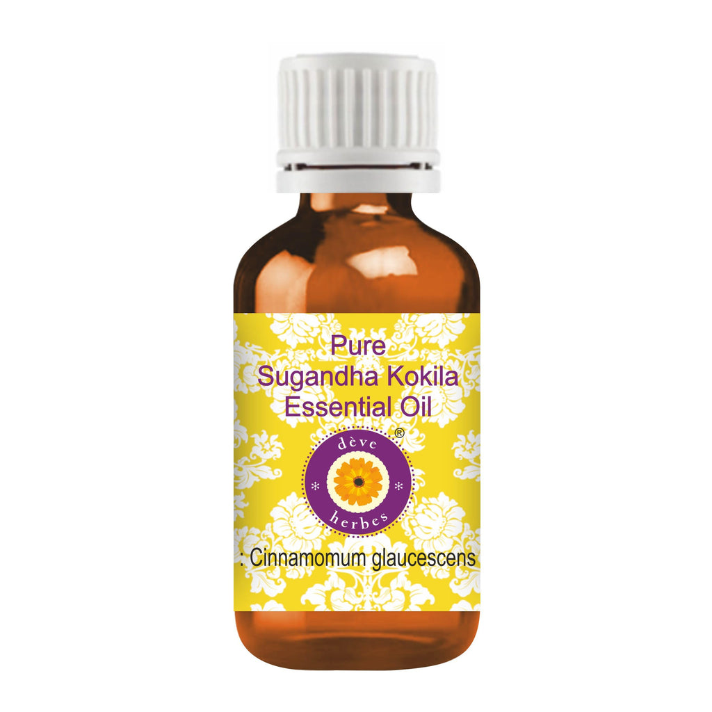 dve herbes Pure Sugandh Kokila Essential Oil (Cinnamomum glaucescens) Steam Distilled 30ml (1 oz)