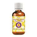 dve herbes Pure Sugandh Kokila Essential Oil (Cinnamomum glaucescens) Steam Distilled 30ml (1 oz)