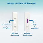 BlissKiss Lactose Intolerance Test Kit - Quick, Accurate Home Self-Test Kit for Infants & Adults, Includes Multi-Language Instru