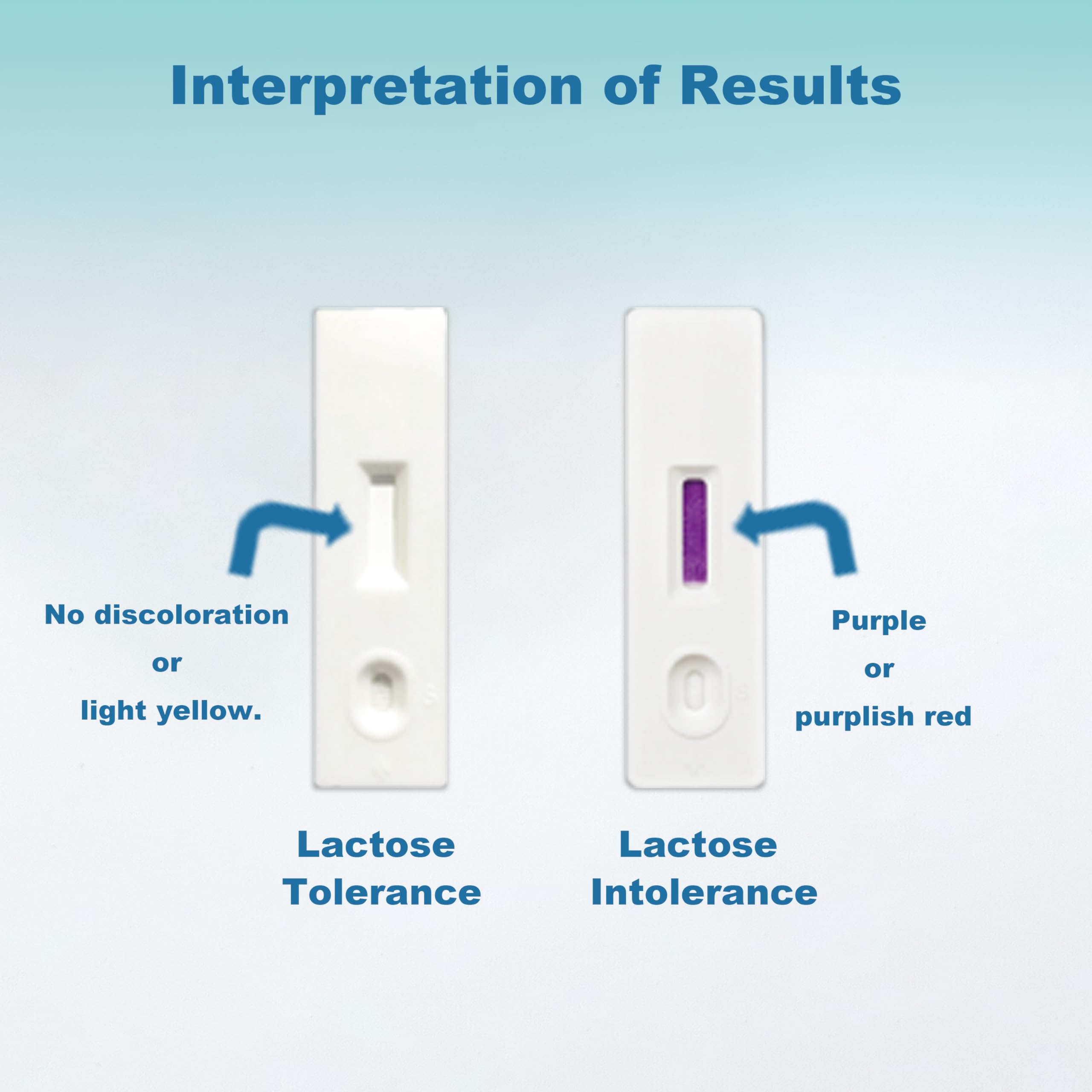 BlissKiss Lactose Intolerance Test Kit - Quick, Accurate Home Self-Test Kit for Infants & Adults, Includes Multi-Language Instru