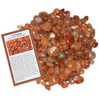 Hypnotic Gems Materials: 11 lbs Carnelian Tumbled Stones - Grade 1 - XXSmall - 0.25  to 0.75  Avg. - Bulk Natural Rocks Polished