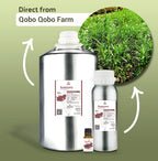 Nature Packaged Rosemary Essential Oil - Direct from Qobo Qobo in South Africa - Pure Essential Oil for Diffusers and Aromathera