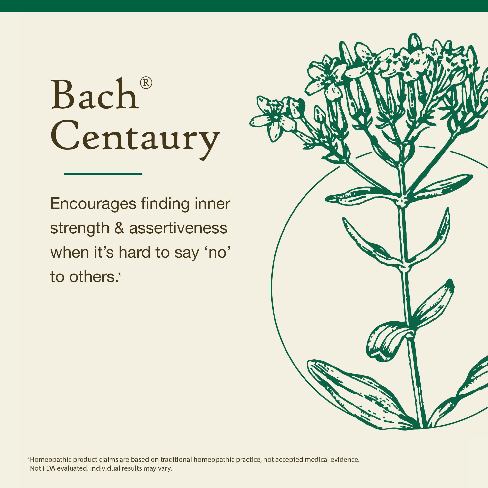 Bach Original Flower Remedies, Centaury - Be Assertive - Natural Homeopathic Flower Essence for Emotional Balance - Vegan, Glute