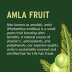 Banyan Botanicals Amla (Amalaki) Tablets - Organic Emblica Officinalis - Natural Source of Vitamin C and Antioxidants - Supports