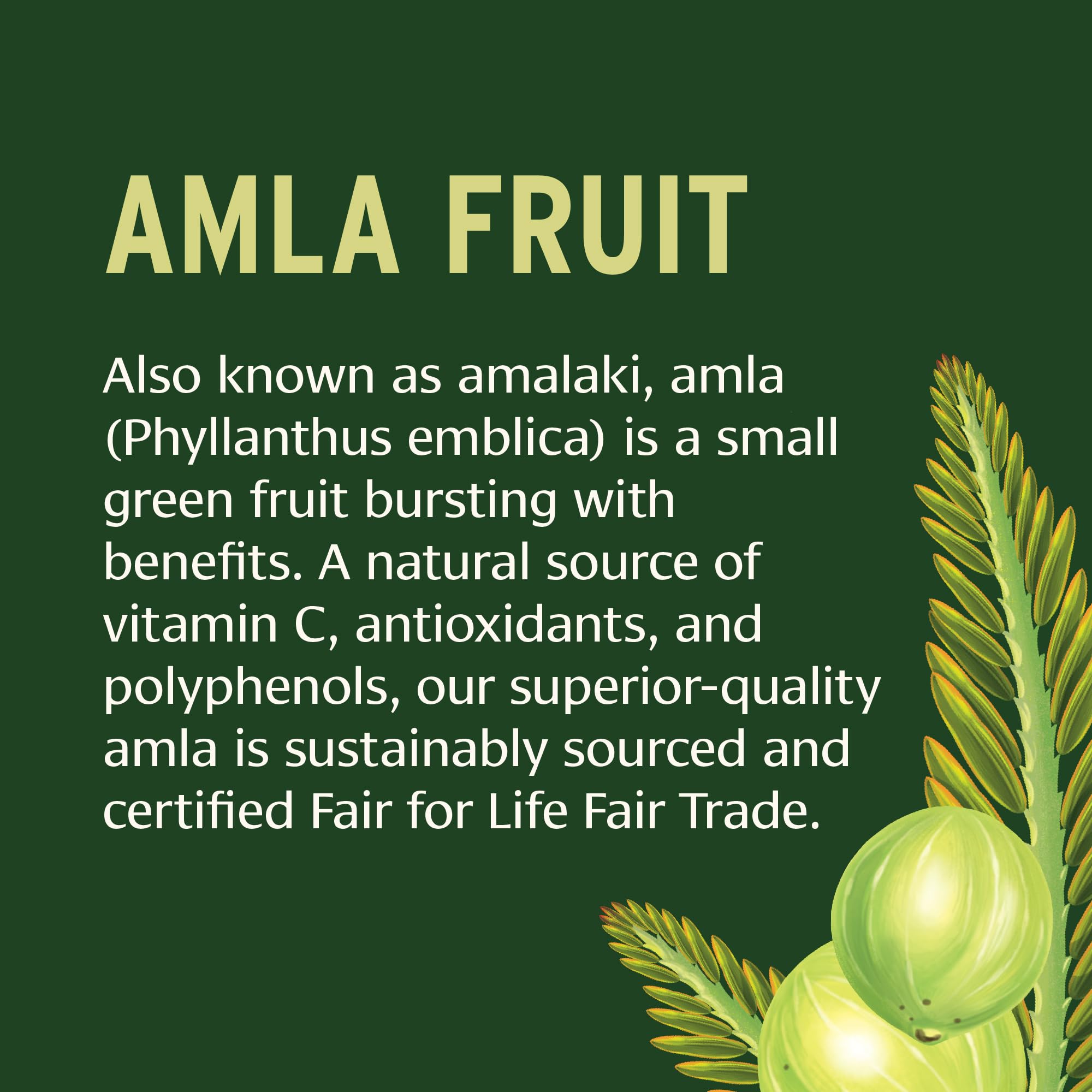 Banyan Botanicals Amla (Amalaki) Tablets - Organic Emblica Officinalis - Natural Source of Vitamin C and Antioxidants - Supports