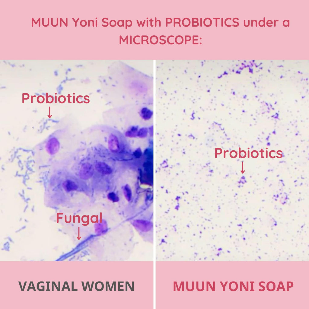 Muun Yoni Soap Bar - Pack 3 Ph Balance Probiotics & Natural Ingredients - Gentle Cleansing Formula Eliminates Odor Vaginal Healt