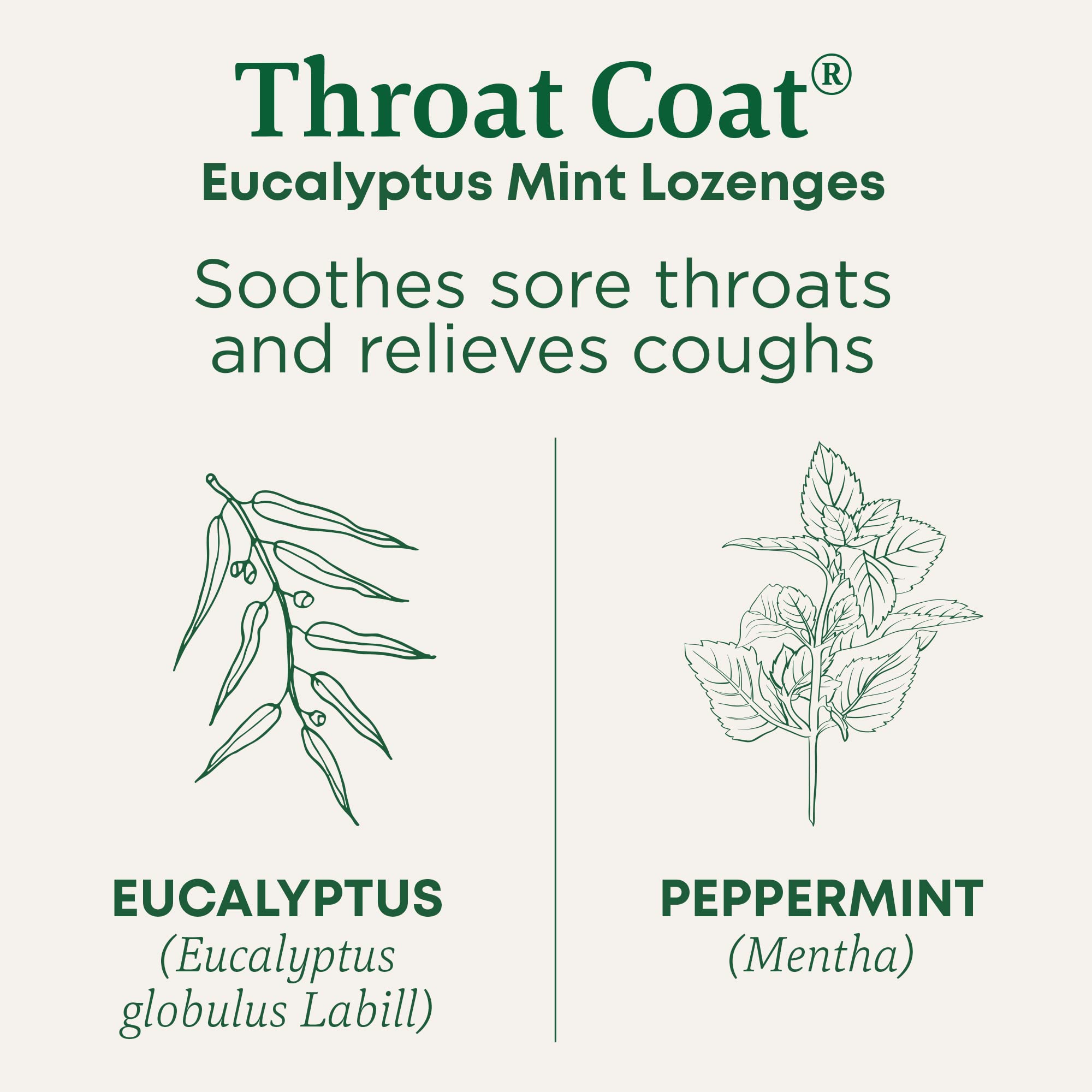 Traditional Medicinals Lozenges, Organic Throat Coat Lozenges, Eucalyptus Mint, Soothes Sore Throats & Relieves Coughs, 16 Indiv