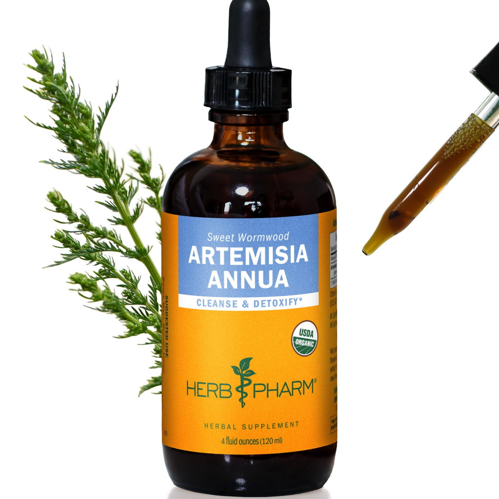 Herb Pharm Certified Organic Artemisia Annua (Sweet Annie) Liquid Extract - 4 Ounce