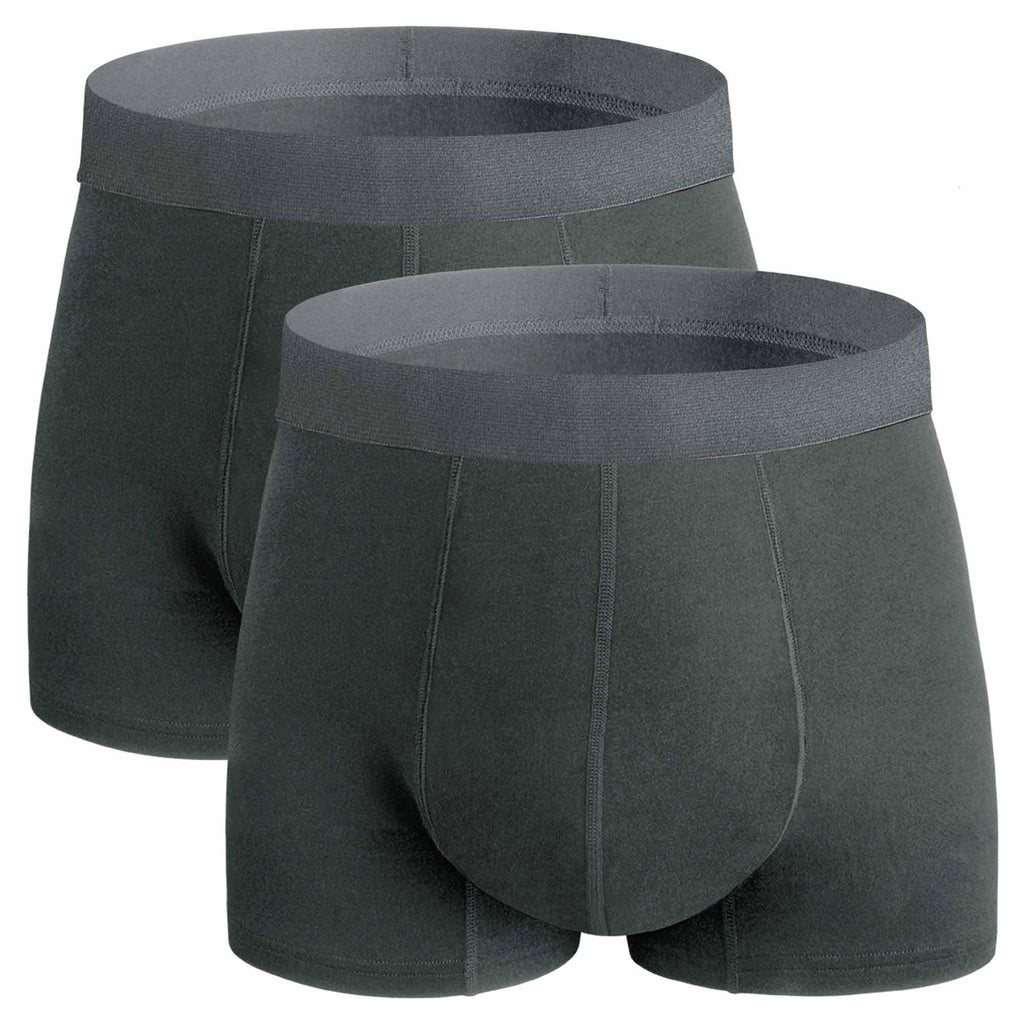 REELINDRY Mens Incontinence Underwear Washable, 2.3 oz Leak Proof Absorbent Odor Neutralization Briefs for Bladder Leak 2 Pack(D
