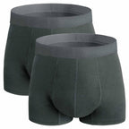 REELINDRY Mens Incontinence Underwear Washable, 2.3 oz Leak Proof Absorbent Odor Neutralization Briefs for Bladder Leak 2 Pack(D