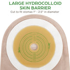 LotFancy Colostomy Bags, Pack of 20, Ostomy Supplies, One-Piece Drainable Pouches with Closure for Ileostomy Stoma Care, Cut-to-