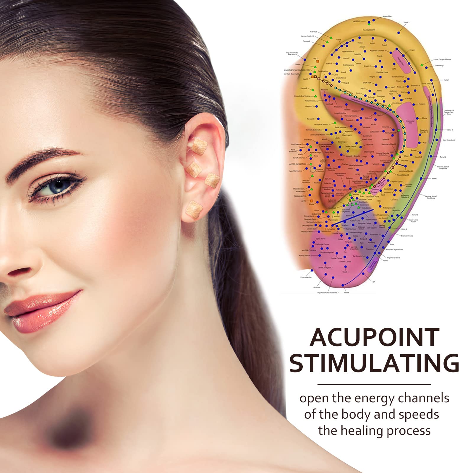 ROSENICE 600 Counts Acupuncture Vaccaria Ear Seeds Disposable Ear Press Seeds Multi-Condition Ear Seed Acupressure Kit (10 Sheet