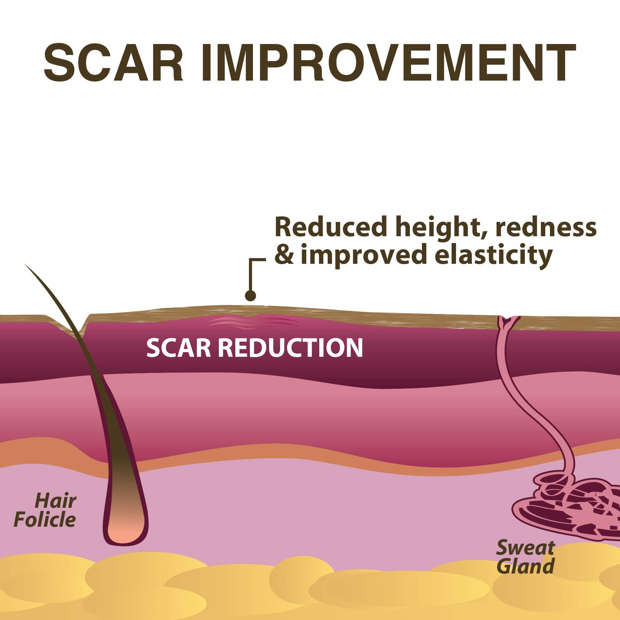 Xeragel 100% Silicone Scar Treatment Ointment - Clinically Proven to Reduce the Appearance of Old & New Scars - Sealed Tube, 10g