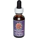Flower Essence FES Quintessentials Chrysanthemum Supplement Dropper - 1 fl oz