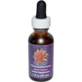 Flower Essence FES Quintessentials Chrysanthemum Supplement Dropper - 1 fl oz