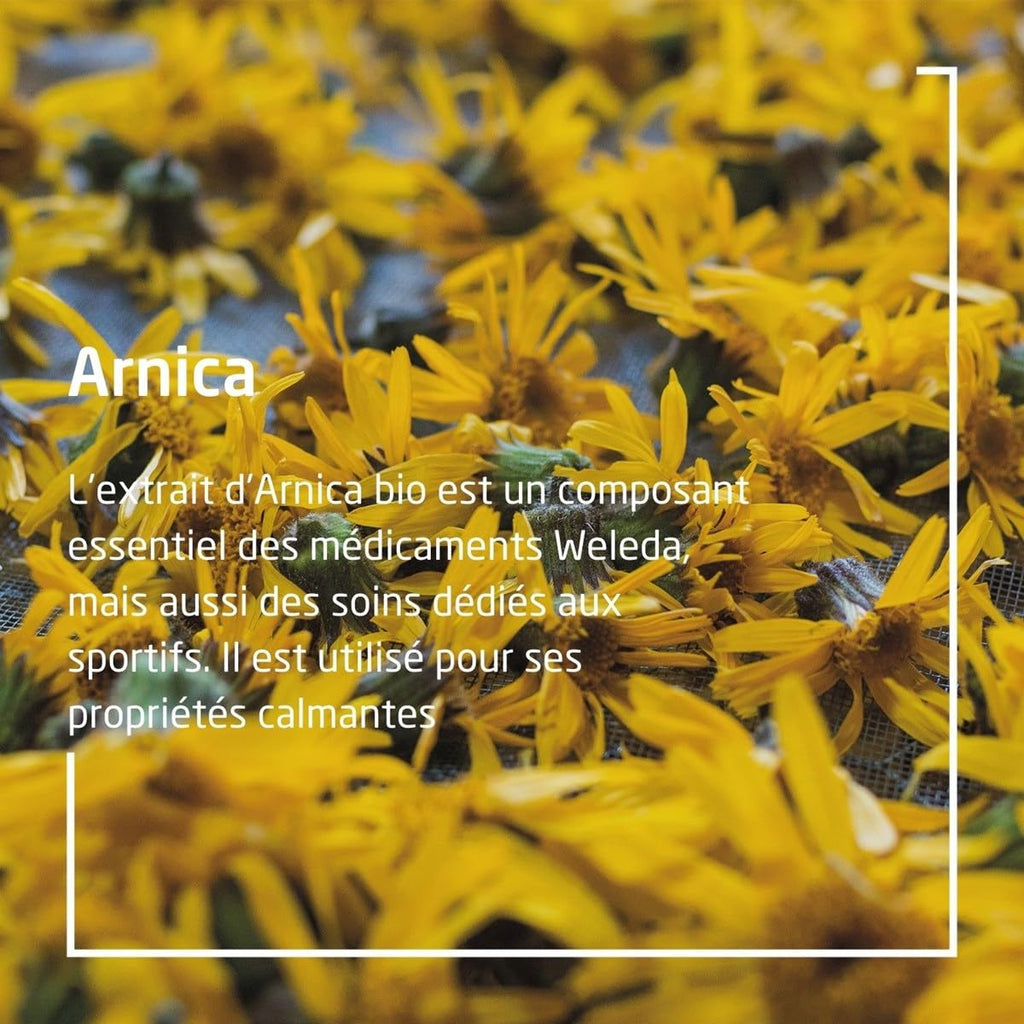 Weleda Arnica Massage Oil 3.4 Fl Oz
