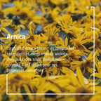Weleda Arnica Massage Oil 3.4 Fl Oz